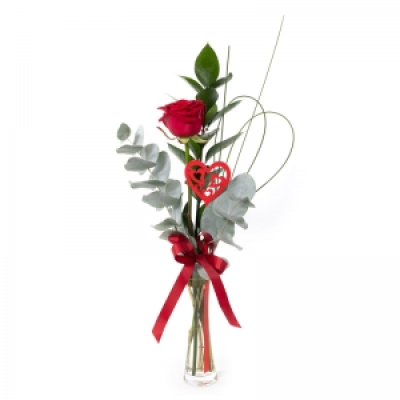 A Little Treasure - Leave a lasting impression with this single red rose, presented in a glass vase.